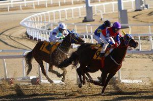 How Does Horse Racing Tips India: Pro Tips to Win in India (2026)